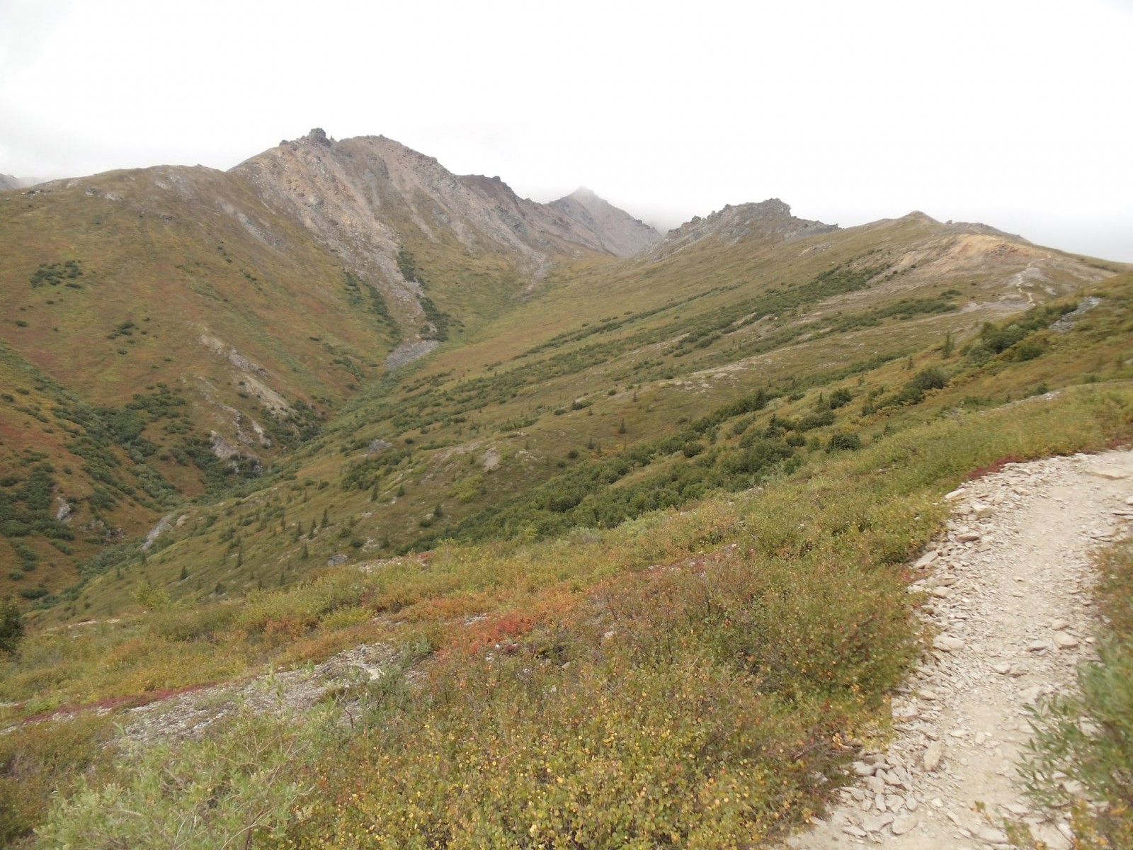 Mount Healy Overlook Trail (Mile .75)